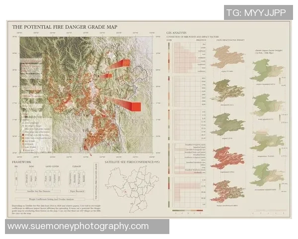 全新竞技赛事规则解析与策略应用详解